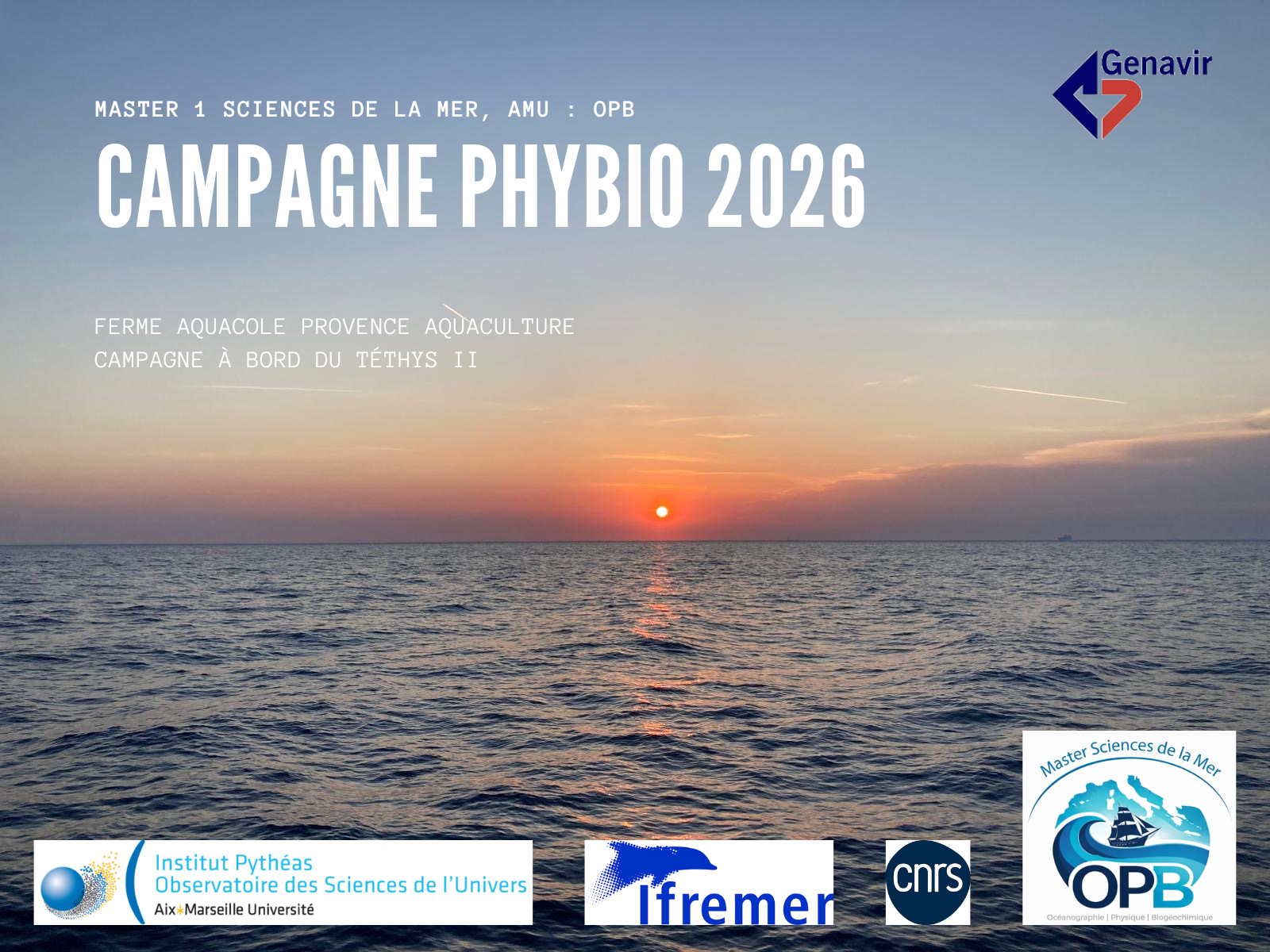 Logo PHYBIO2026